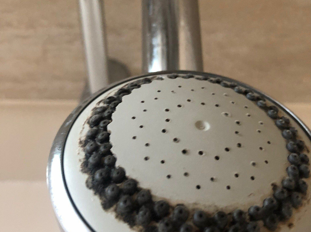 The Groves Hotel主图