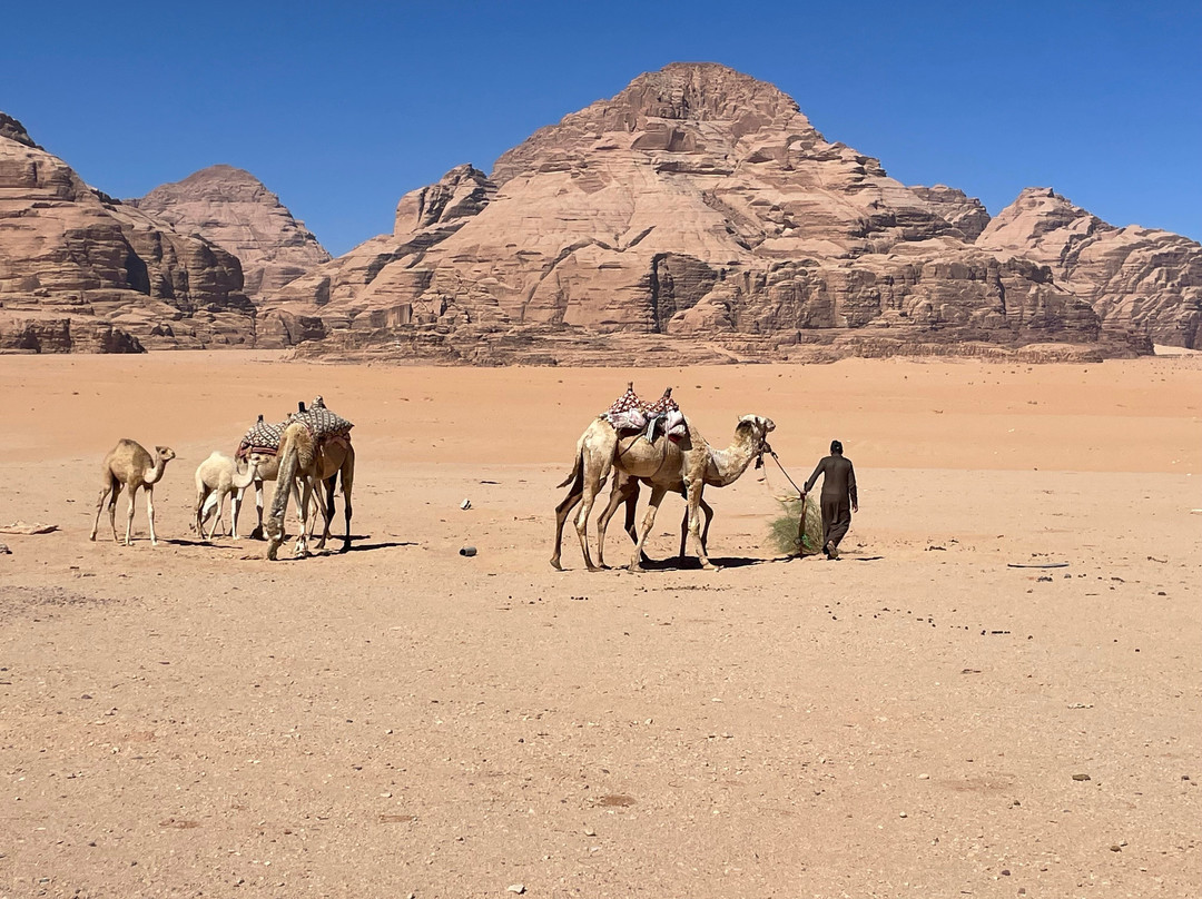 Mohammad Jaradat-安曼必去景点