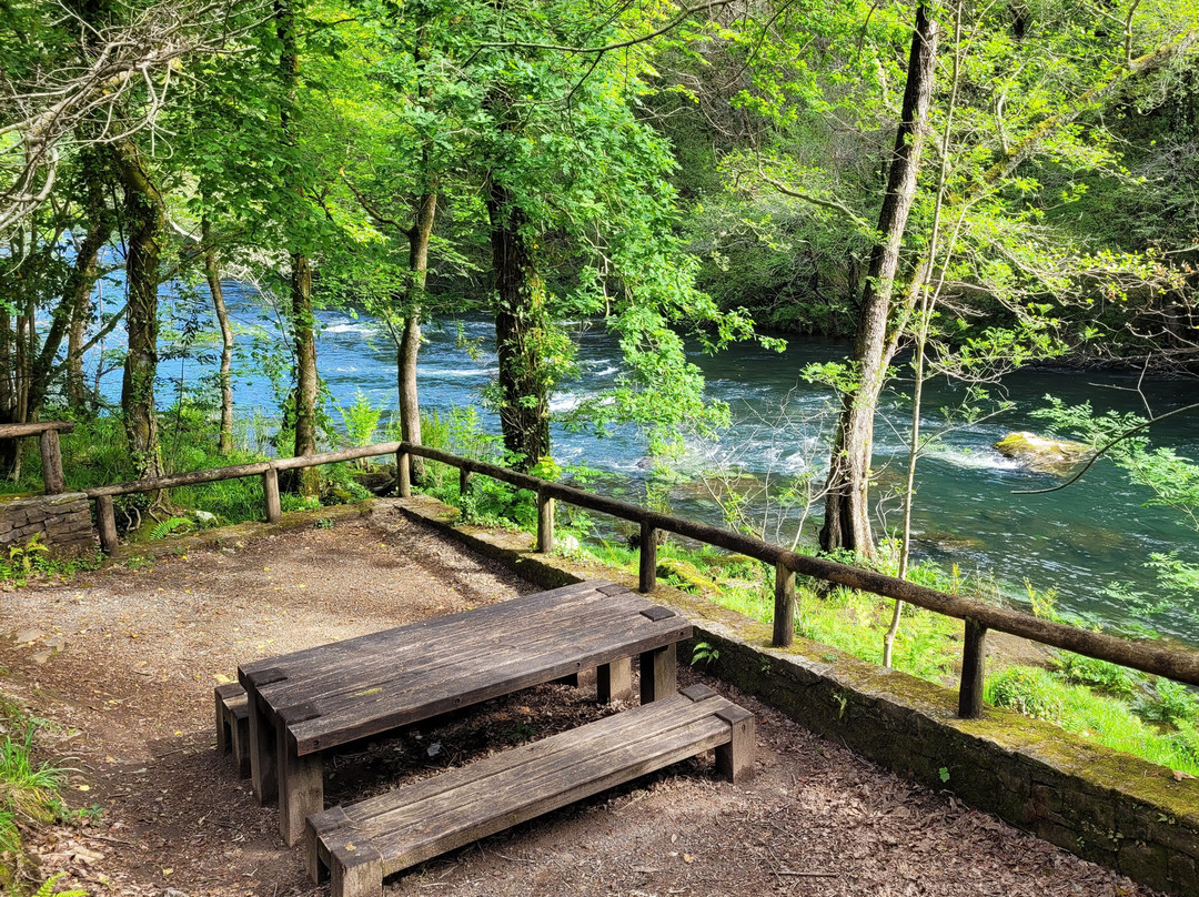 Parque Natural Fragas do Eume景点图片