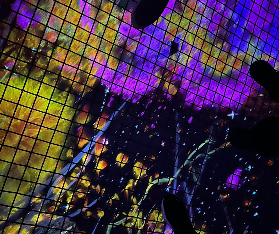 Teamlab Phenomena Abu Dhabi景点图片