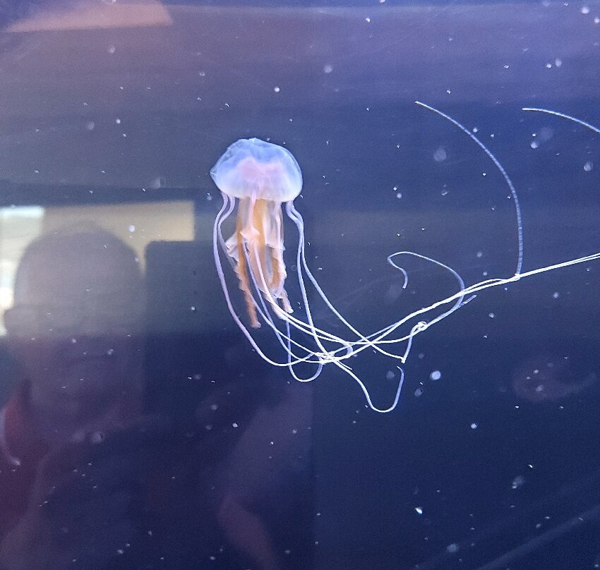 Biodiversarium-Banyuls-sur-mer必去景点