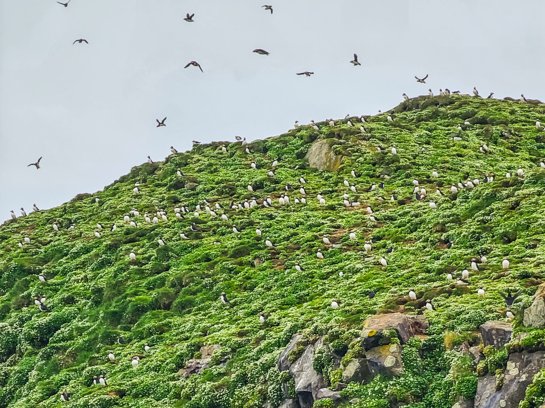 Voxey Trips-Djupivogur必去景点