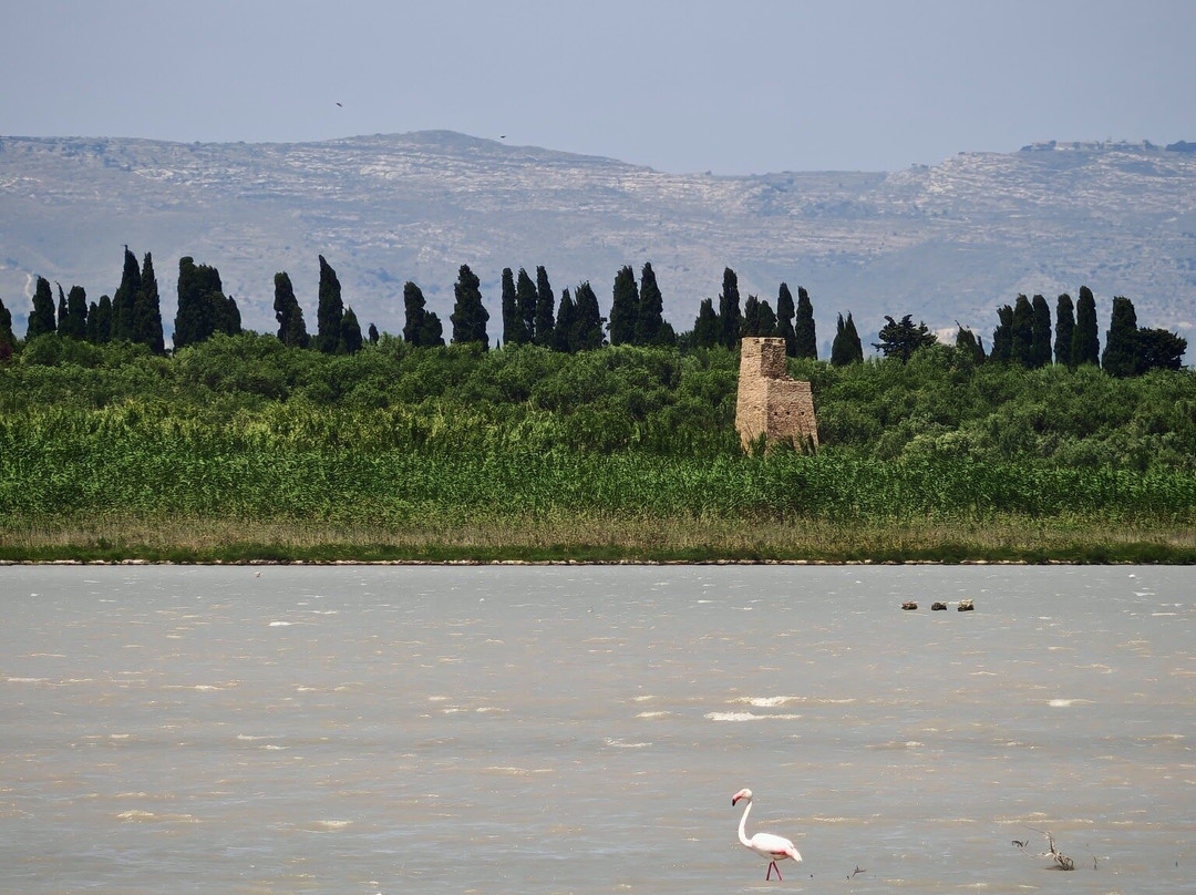 Riserva di Vendicari景点图片