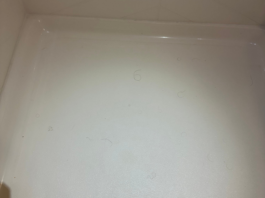 Fairfield by Marriott Inn & Suites Memphis East/Galleria主图