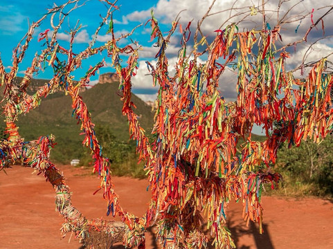 Conexão Cerrado - Turismo e Preservação-Palmas必去景点