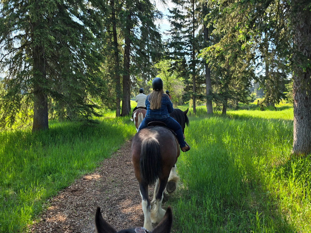 Clydesdale Outpost主图