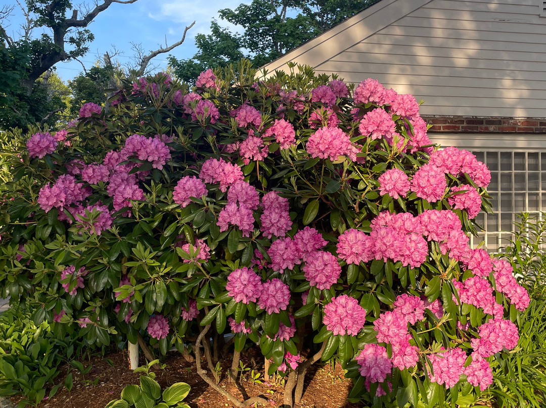 Chatham Seafarer Inn主图