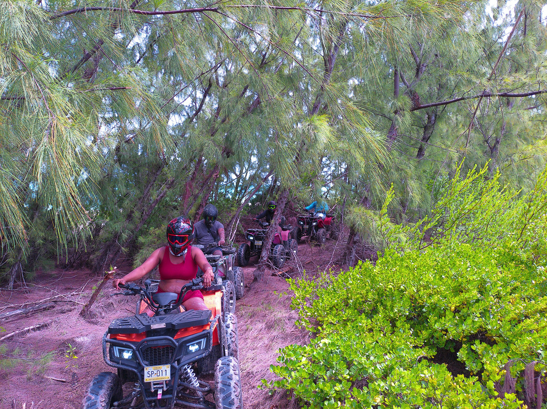 Pink Flamingo Atv Adventure Tour