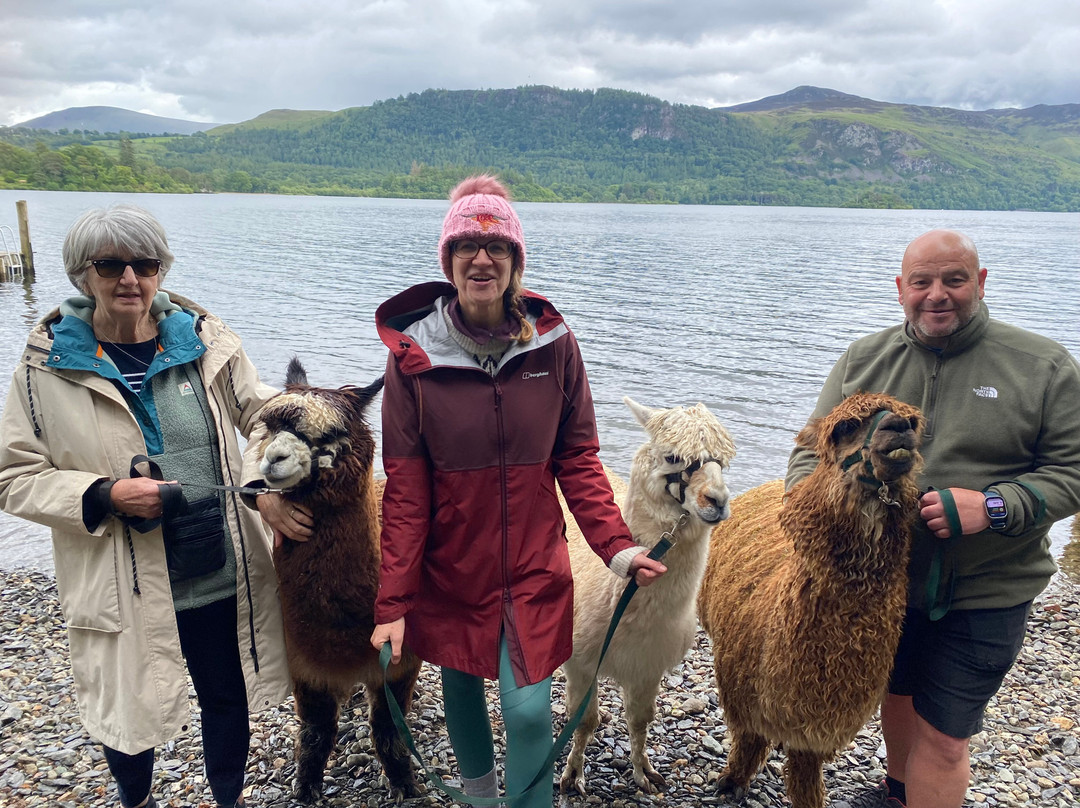 Alpacaly Ever After景点图片