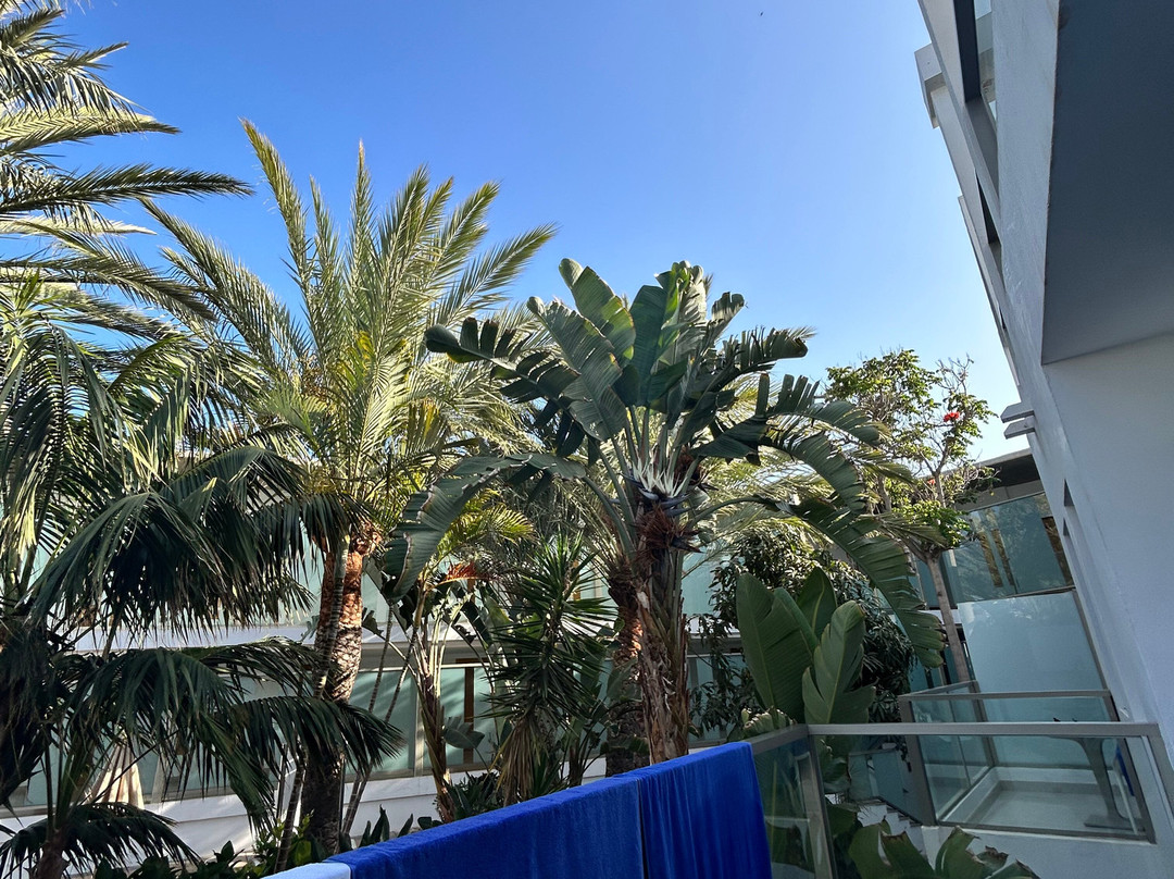 R2 Bahia Playa Design Hotel & Spa主图