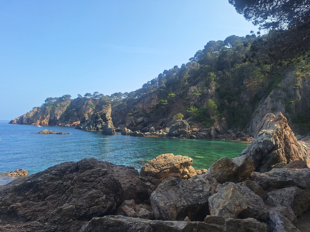 Cala El Golfet景点图片