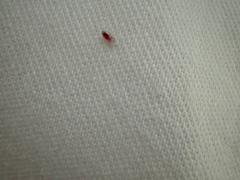 斯特拉酒店和舞厅主图