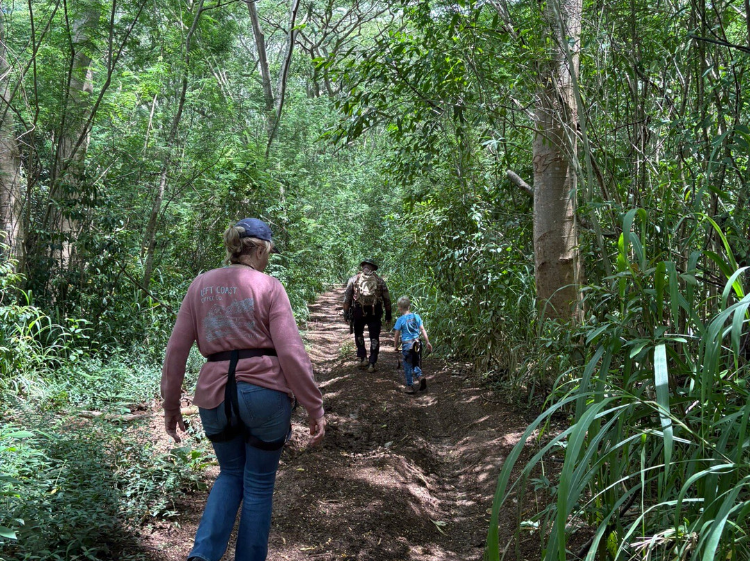 True Hawaiian-阿那荷拉必去景点
