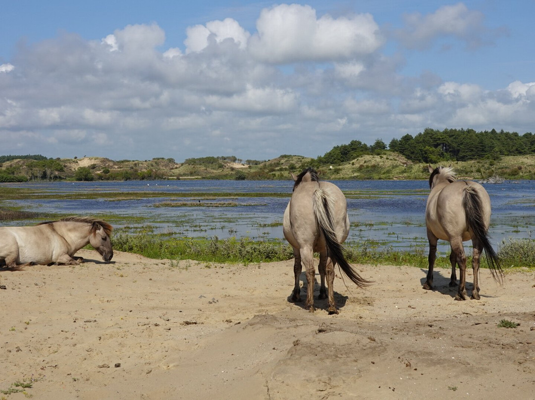 Hotel Bleecker主图
