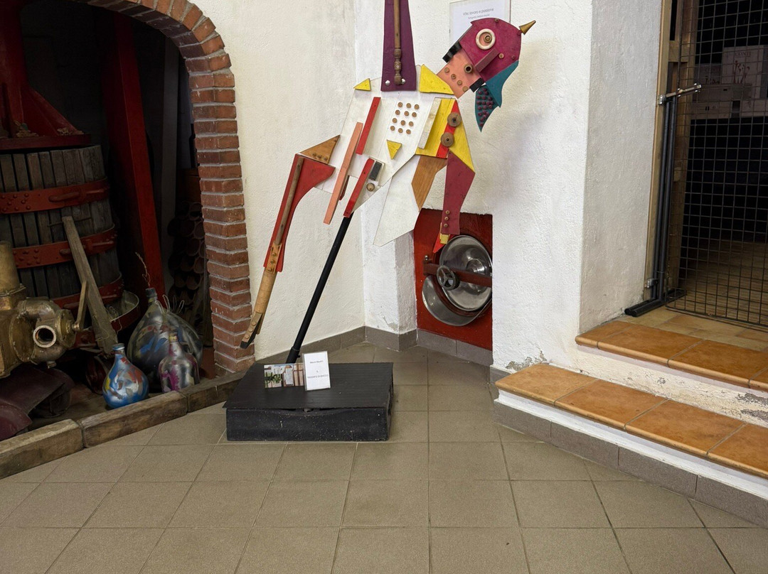 Cantine del Castello Conti-Maggiora必去景点
