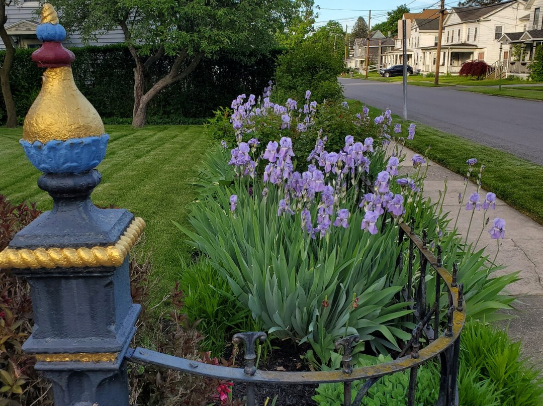 Blue Rose Victorian Bed & Breakfast主图