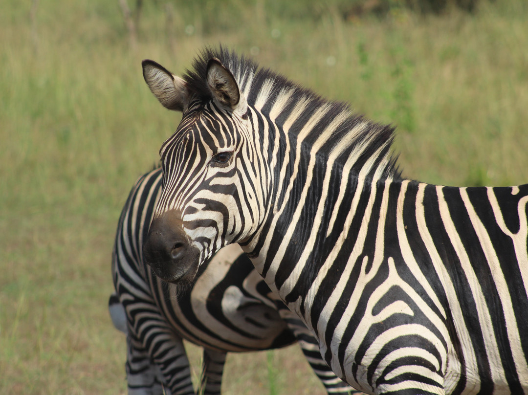 Epic Uganda Vacation-坎帕拉必去景点