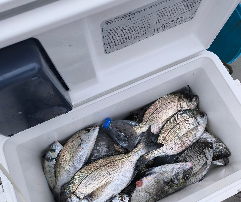 Boat Esmeralda Azul-里斯本必去景点