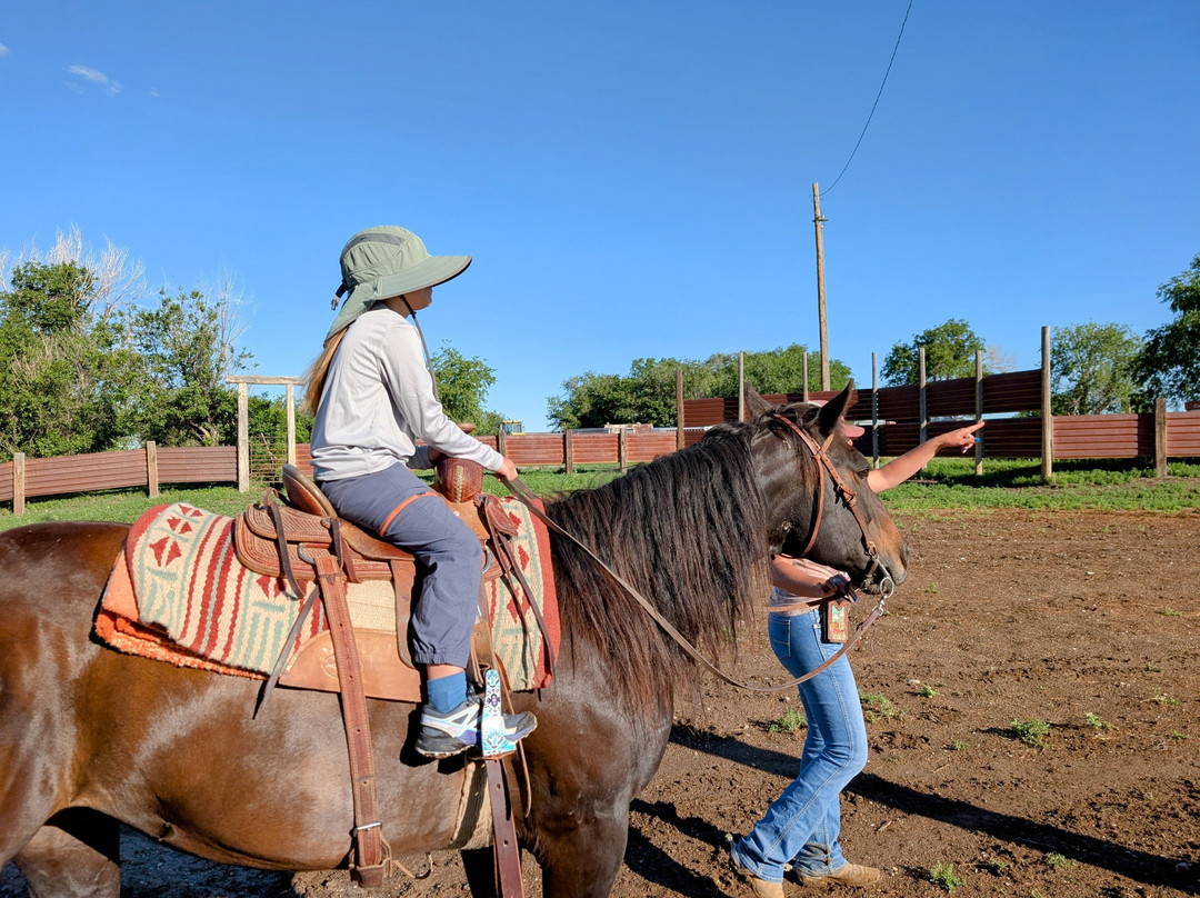 Hurley Butte Horseback Riding-Interior必去景点