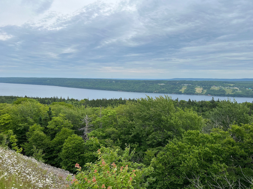 Blackwood Tours-新沃特福德必去景点