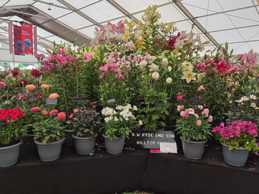 Hampton Court Flower Show