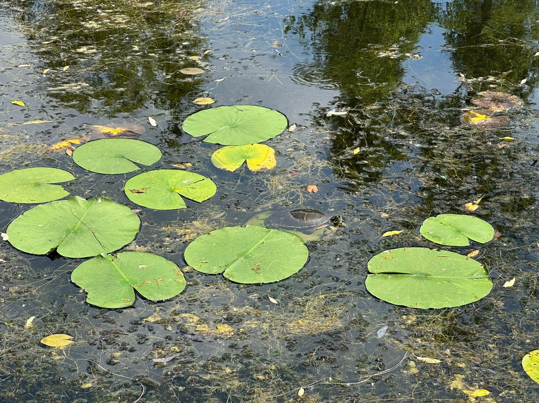 Bubolz Nature Preserve-阿普尔顿必去景点