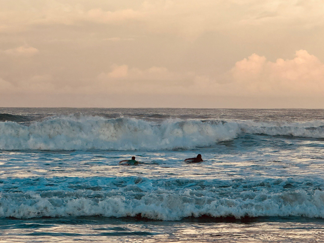 The Gilded Iguana Surf Club-Playa Guiones必去景点