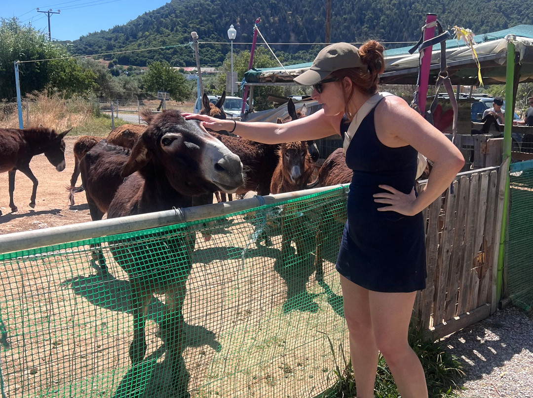 Bees House Rodos-Archipoli必去景点