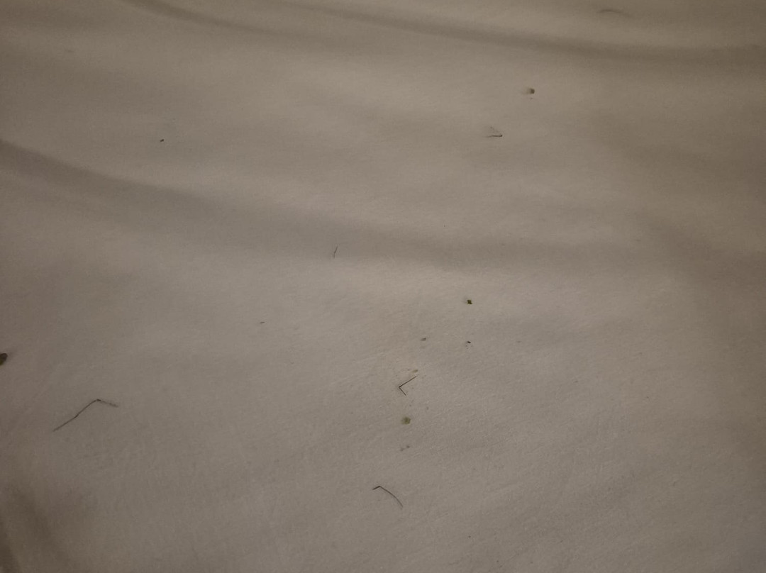 Travelodge Bedford Goldington Road主图