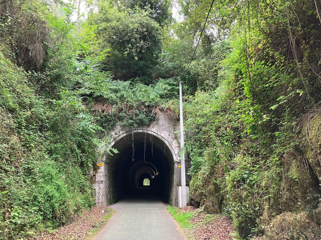 Abelenda Bike Rental-Santa Comba Dao必去景点