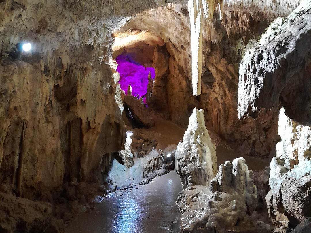 Bärenhöhle-Sonnenbuehl必去景点