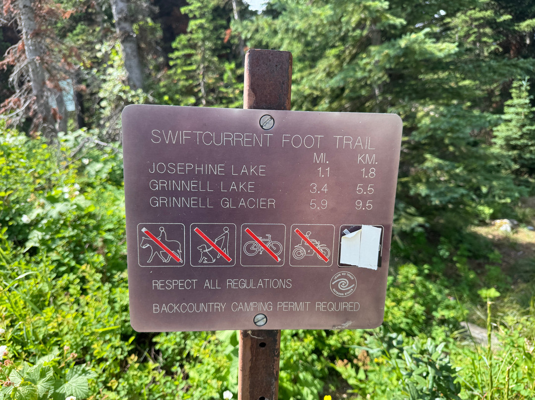 Swiftcurrent Lake Nature Trail-东冰川公园必去景点