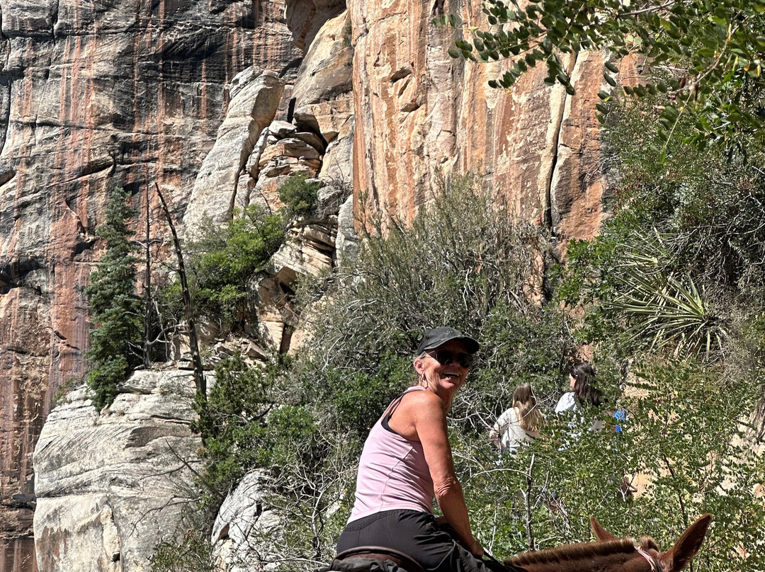 Canyon Trail Rides-大峡谷国家公园必去景点