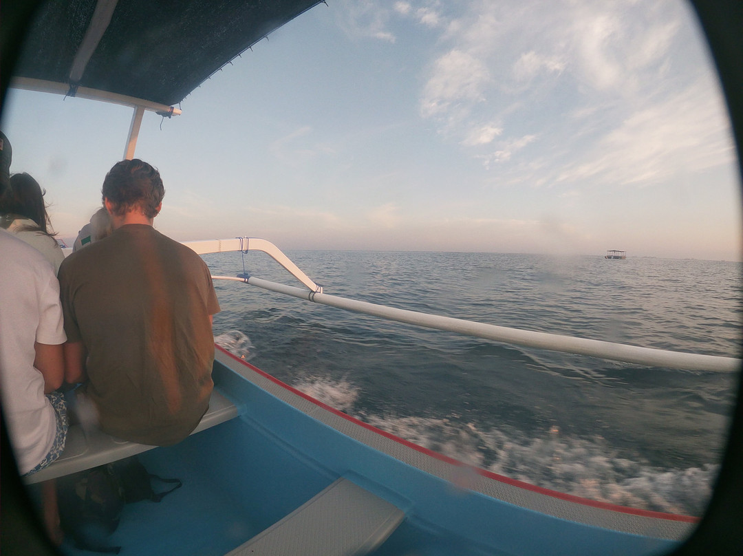 Lovina Dolphin Adventure-罗威那海滩必去景点