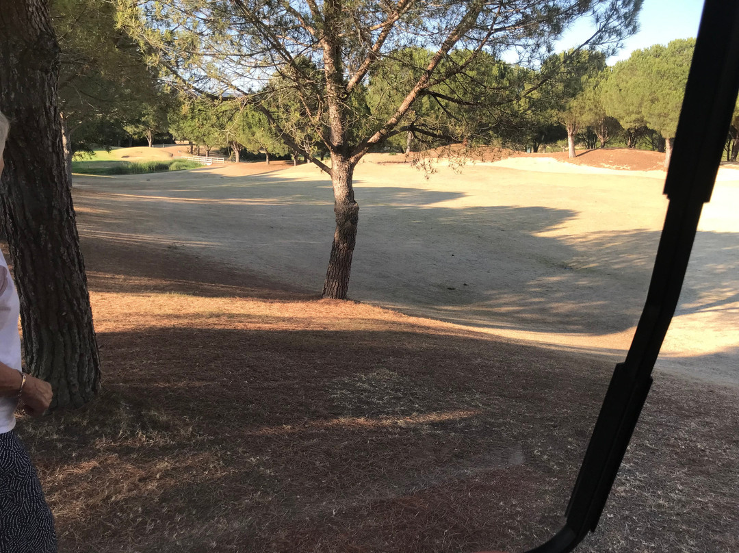 Pinheiros Altos-阿尔加威必去景点