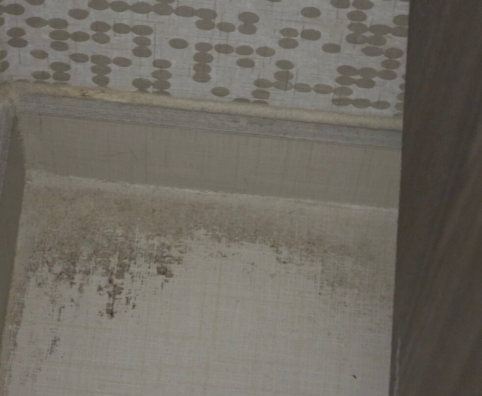 Home2 Suites by Hilton Foley主图