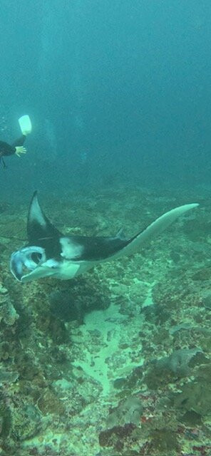 Ceningan Divers-努沙切宁安岛必去景点