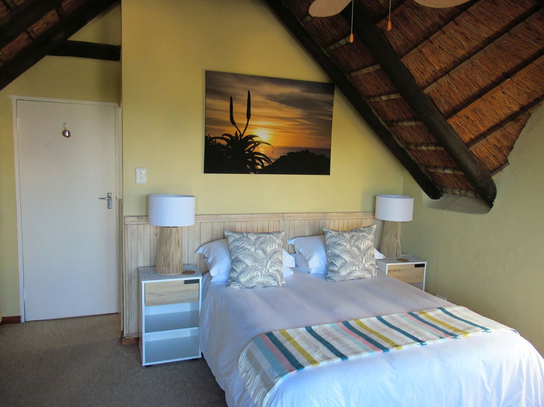 Cycads on Sea Guest House主图