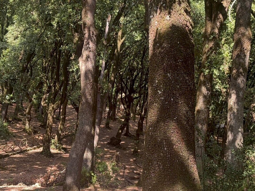 Albergo Ristorante Ferretti主图