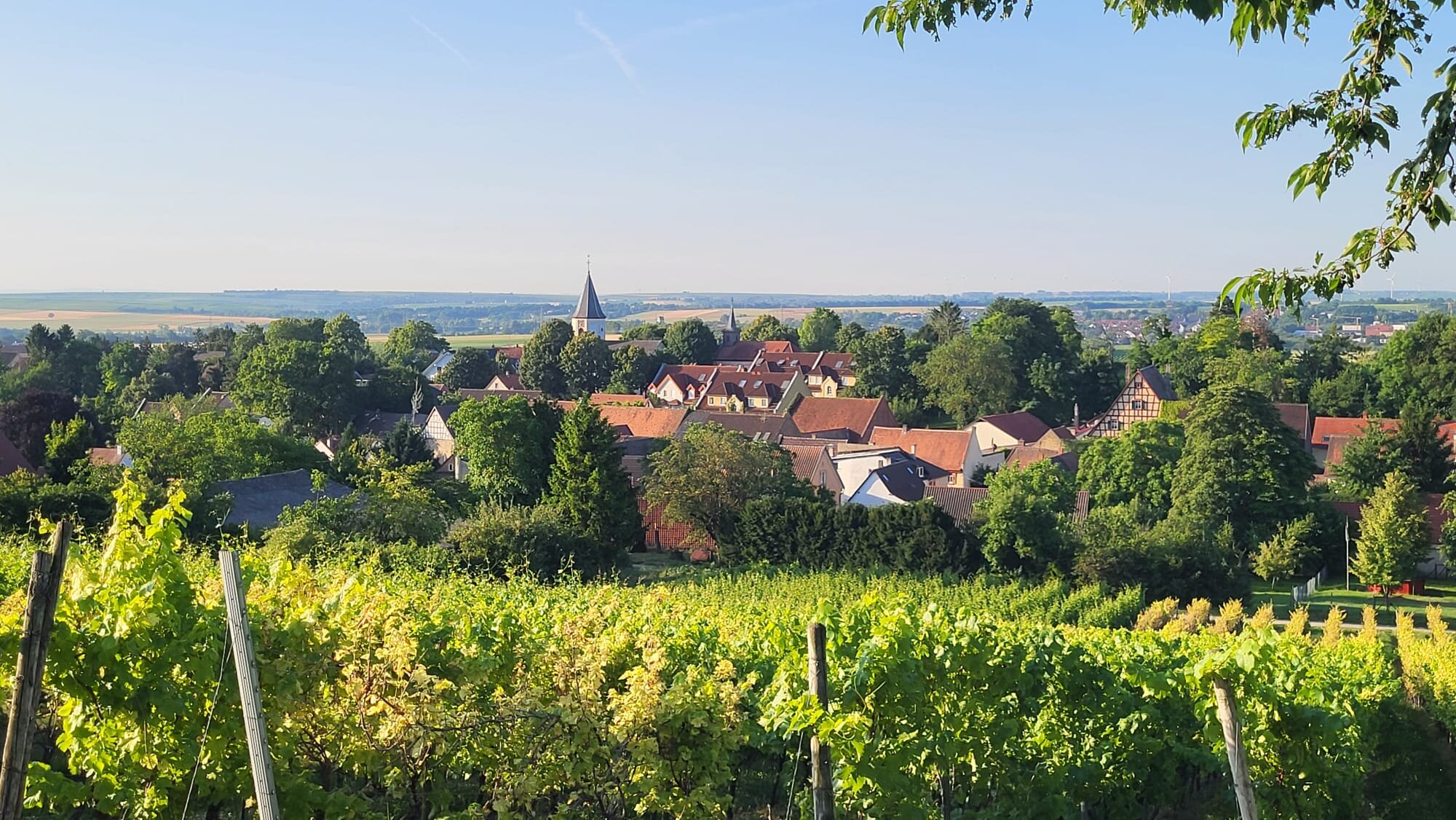Weingut Reßler-官方