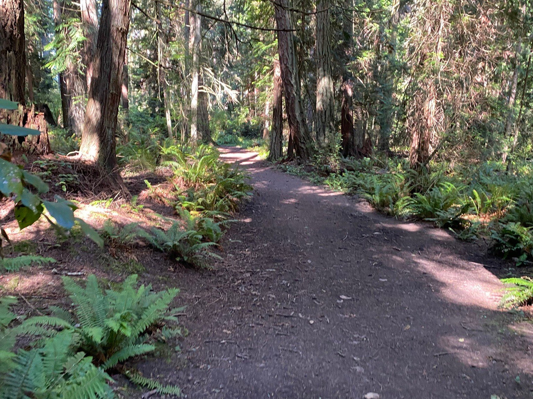 Washington Park-Anacortes必去景点