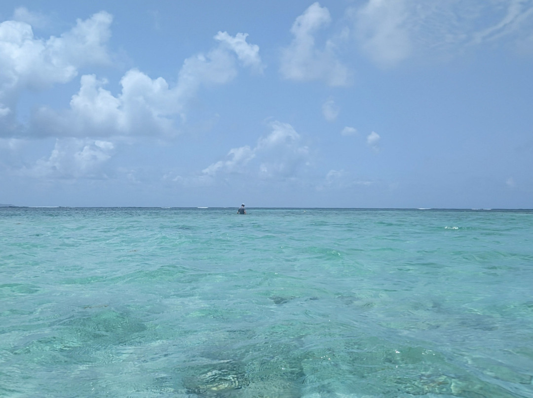 Les Kayaks des Ilets du Francois-Le Francois必去景点