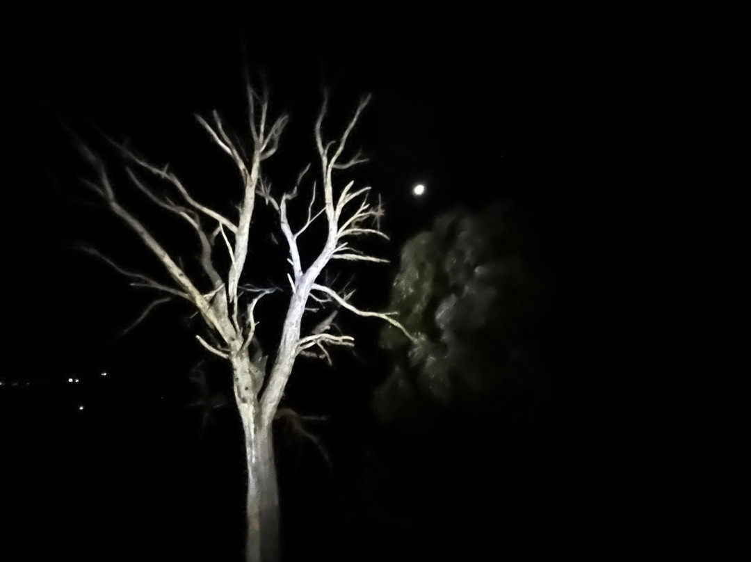 Mt Walsh National Park-Biggenden必去景点