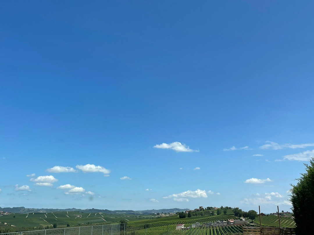 Burzi Alberto Winery-拉莫拉必去景点