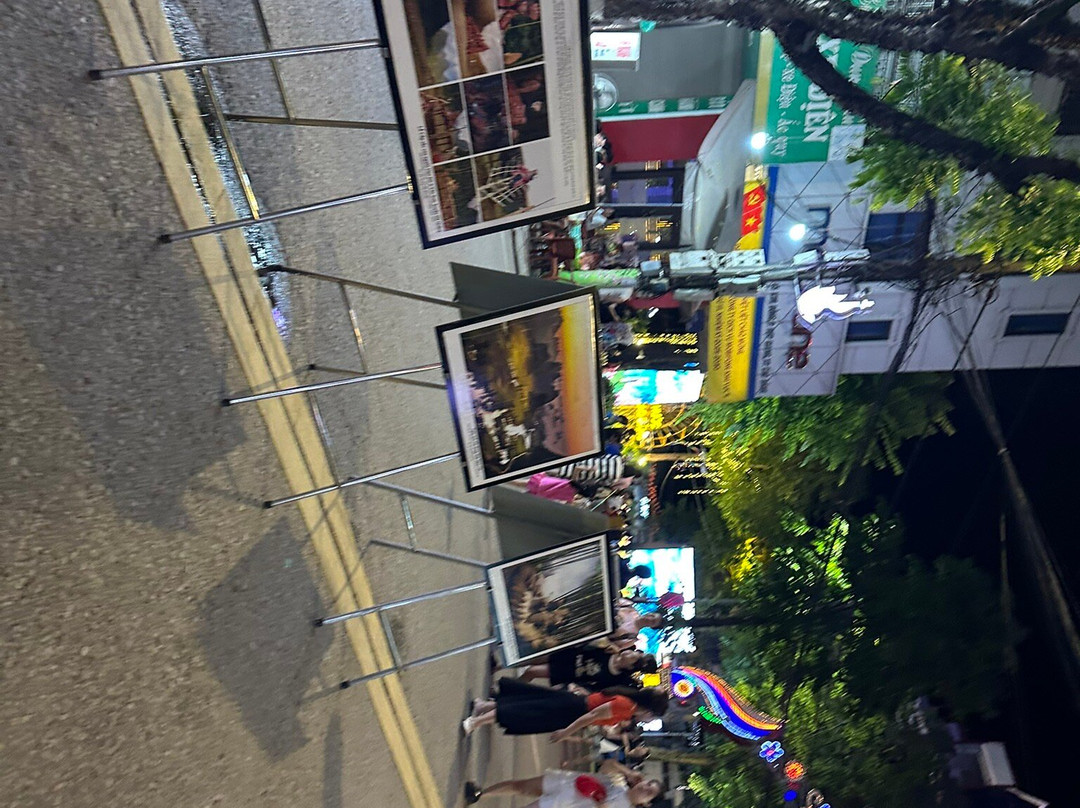 Kim Dong Walking Street-高平必去景点