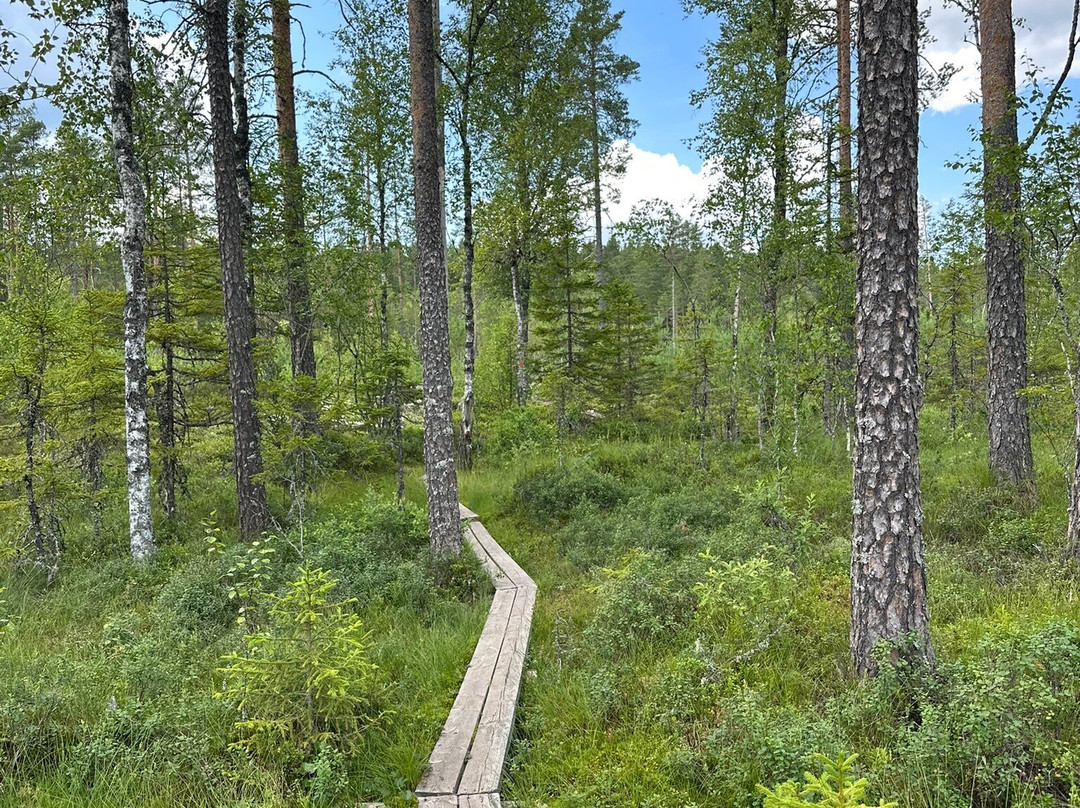 Brattfallet Och Halgåleden-Eksharad必去景点