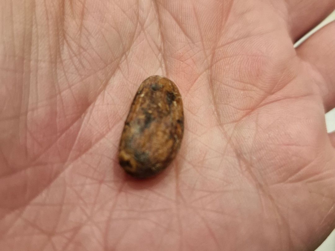 Max Vauche Chocolatier-Bracieux必去景点