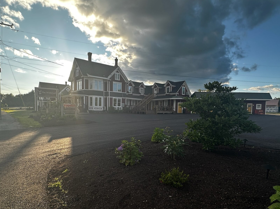 The Whitetail Inn And Suites主图