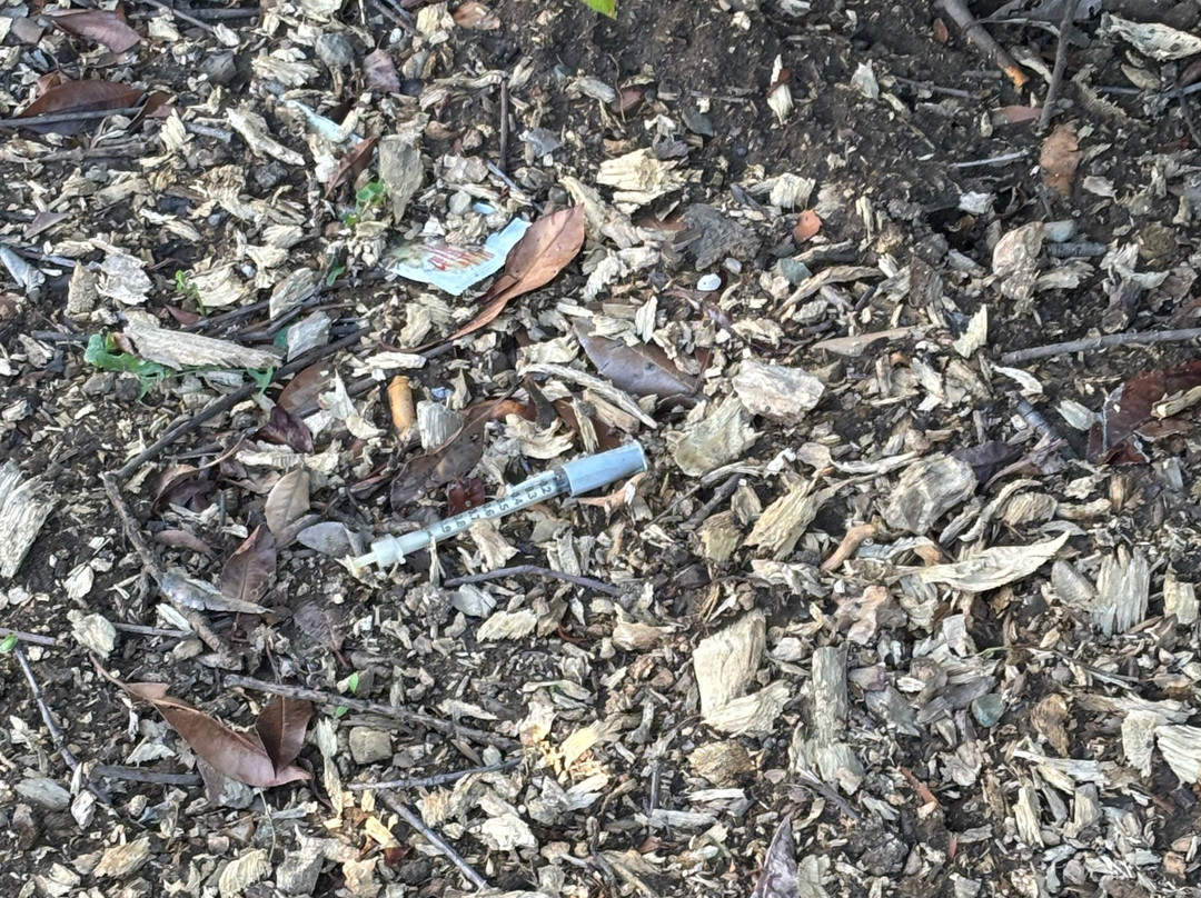 Best Western Yuba City Inn主图