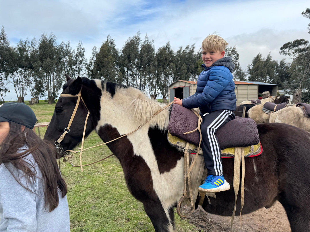 Raíces-坦迪尔必去景点